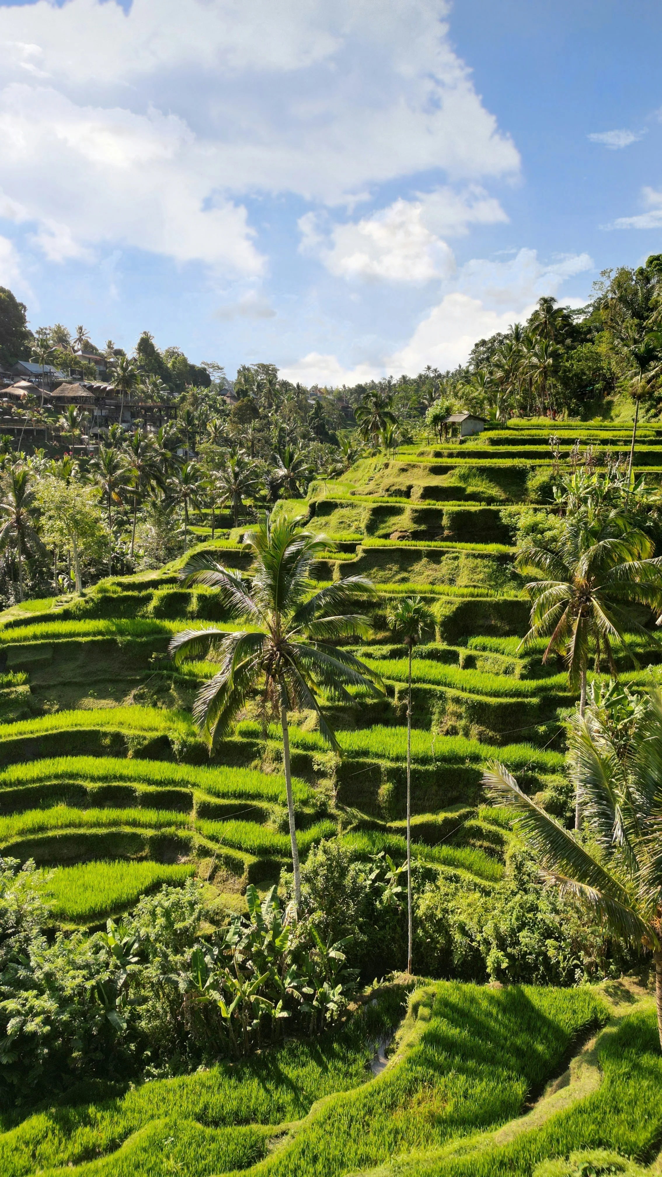 Ubud